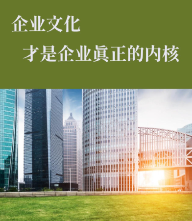 企业数字化系统选型指南：从需求规划到软硬件集成的关键考量
